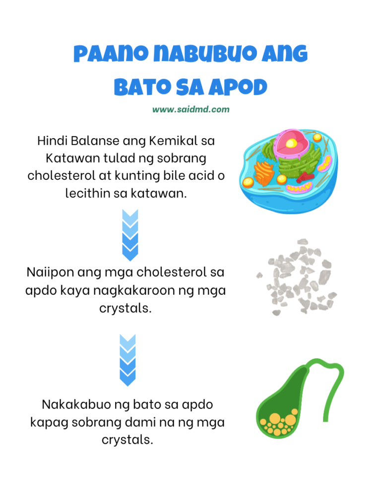 gallstone pathophysiology